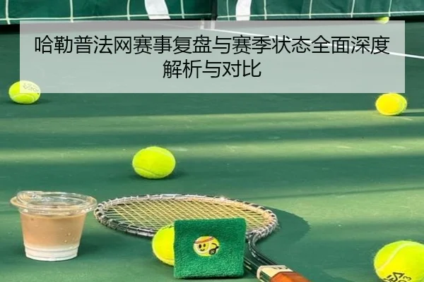 哈勒普法网赛事复盘与赛季状态全面深度解析与对比